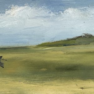 #6192503 5×10 oil on board $3,080